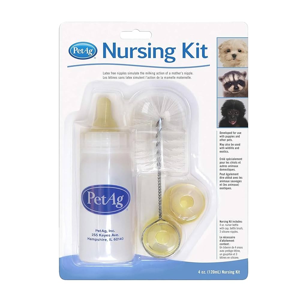 動物看護学 ANIMAL NURSING BSAVA Textbook of Veterinary Nursing (BSAVA British Small